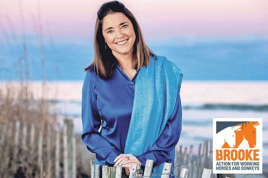 NYT Best Selling Author Mary Alice Monroe World Equestrian Games Tryon Brooke USA  