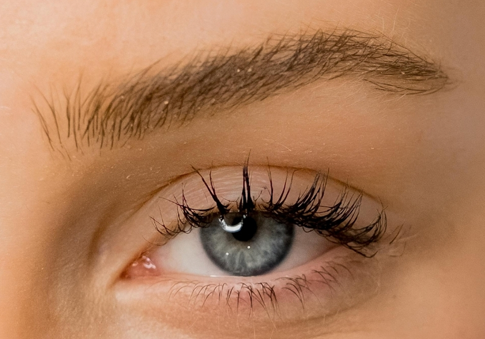 Brow Max Light Result