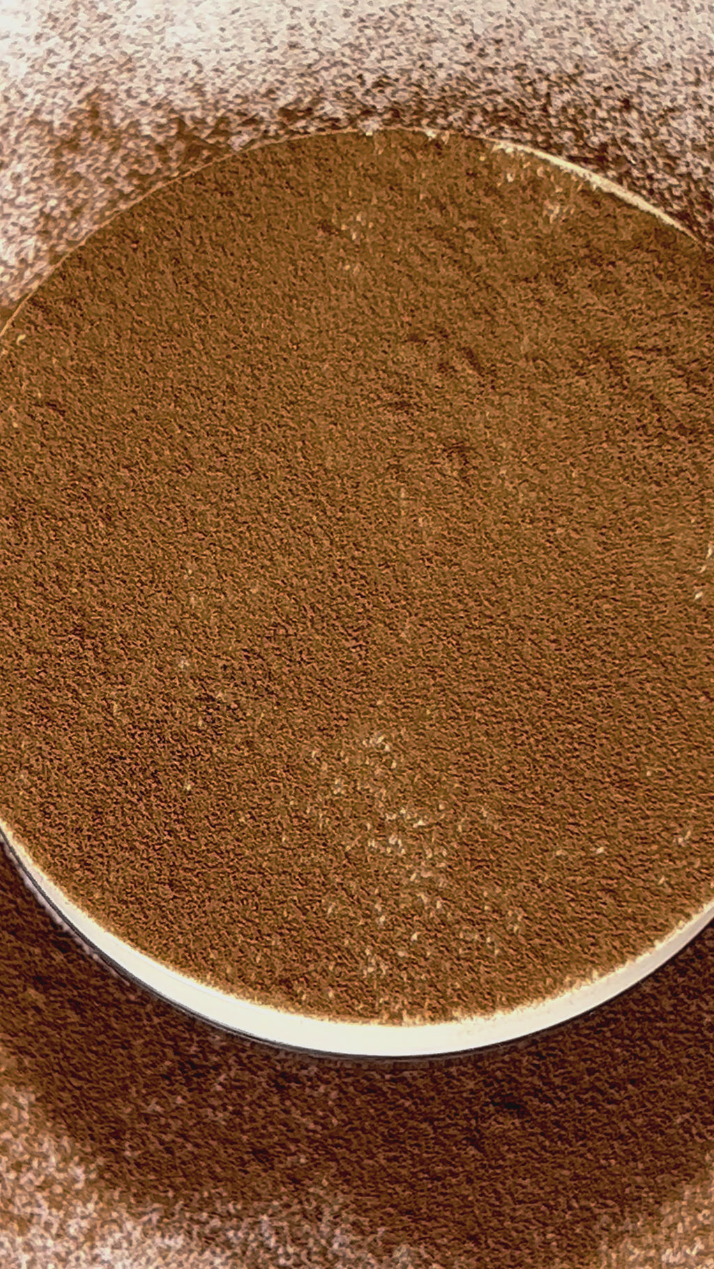 Hydra-Set Translucent Finishing + Brightening Powder